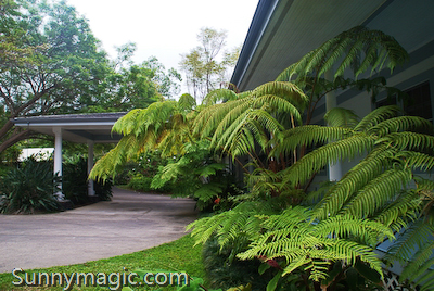 Kaawa Loa Plantation