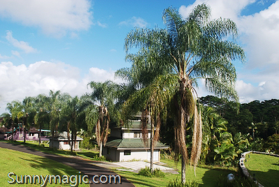 The Inn at Kulaniapia Falls