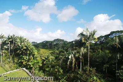 The Inn at Kulaniapia Falls