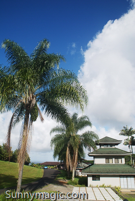 The Inn at Kulaniapia Falls