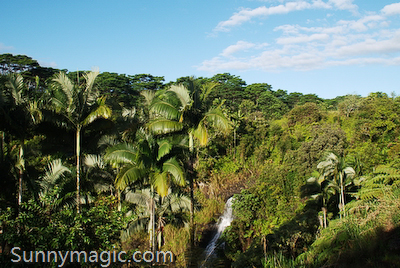 The Inn at Kulaniapia Falls