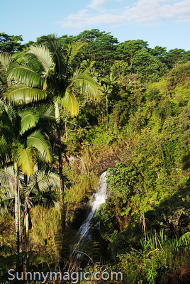 The Inn at Kulaniapia Falls