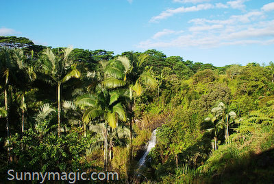 The Inn at Kulaniapia Falls