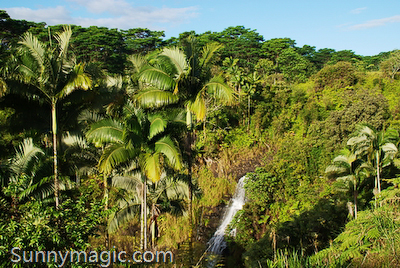 The Inn at Kulaniapia Falls