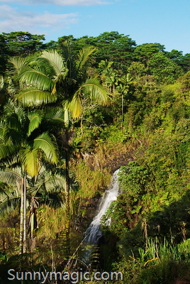 The Inn at Kulaniapia Falls