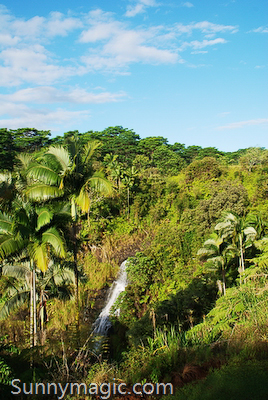 The Inn at Kulaniapia Falls