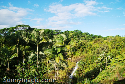 The Inn at Kulaniapia Falls
