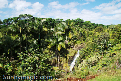 The Inn at Kulaniapia Falls