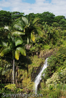 The Inn at Kulaniapia Falls