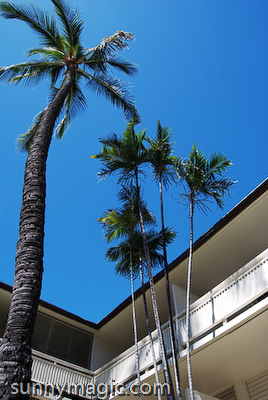 Hawaiiana Hotel