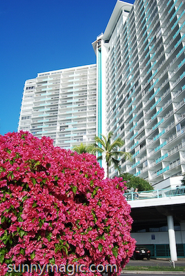 Ilikai Waikiki Hotel