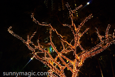 Hilton Hawaiian Village