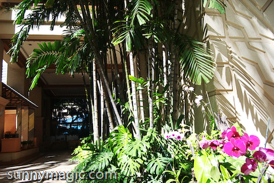 Hilton Hawaiian Village