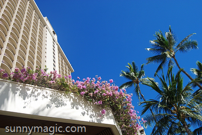 Hilton Hawaiian Village