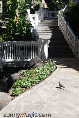 Hilton Hawaiian Village
