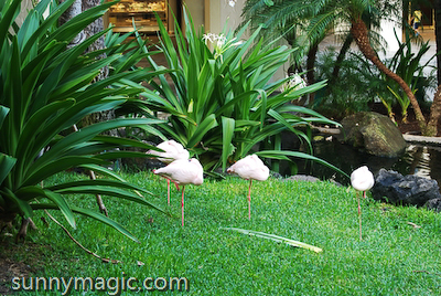 Hilton Hawaiian Village