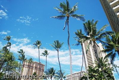 Hilton Hawaiian Village