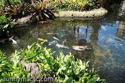Hilton Hawaiian Village