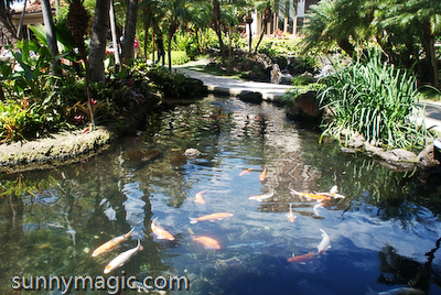 Hilton Hawaiian Village