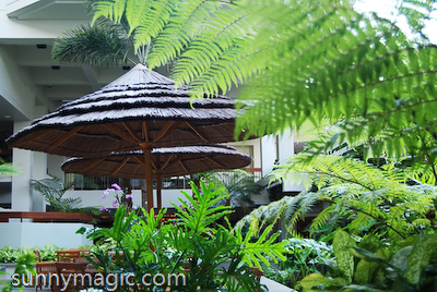 Marriott Resort & Spa