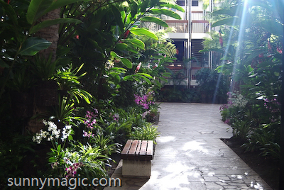 Marriott Resort & Spa