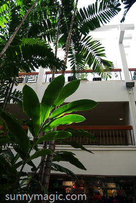 Marriott Resort & Spa