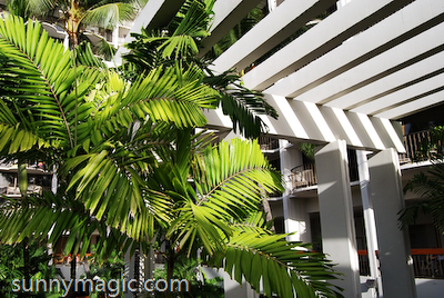 Marriott Resort & Spa