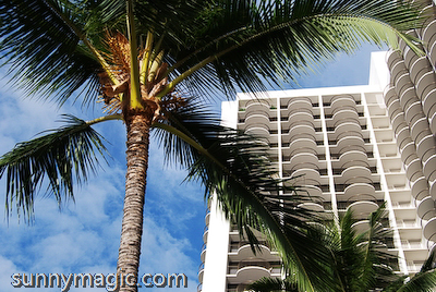 Marriott Resort & Spa