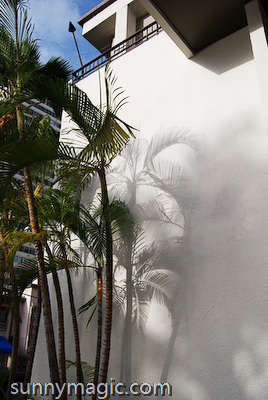 Marriott Resort & Spa