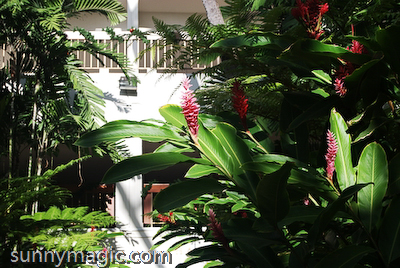 Marriott Resort & Spa