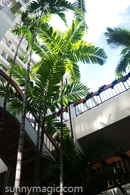 Marriott Resort & Spa