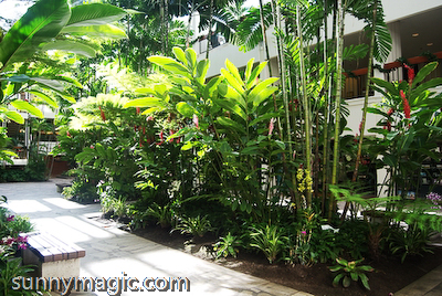 Marriott Resort & Spa