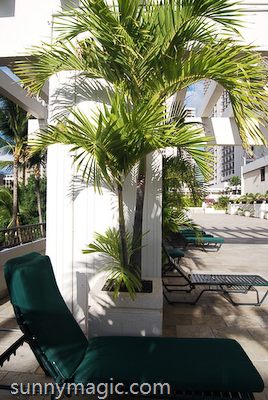 Marriott Resort & Spa