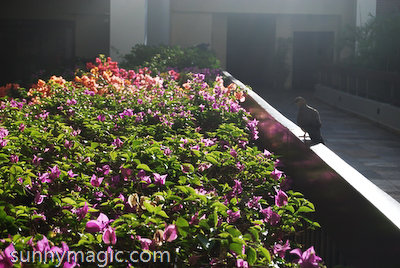 Marriott Resort & Spa