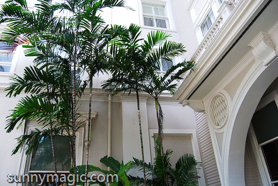 Moana Surfrider