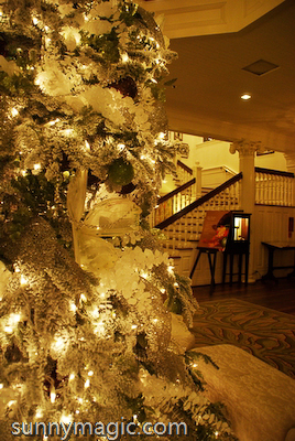 Moana Surfrider