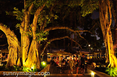 Moana Surfrider