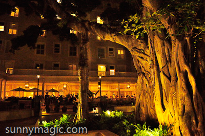 Moana Surfrider