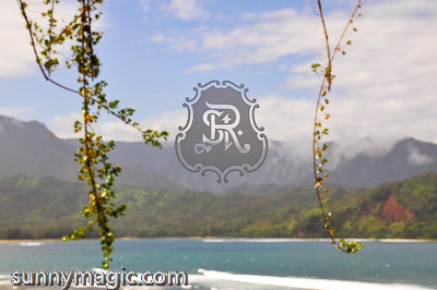St Regis Hotel