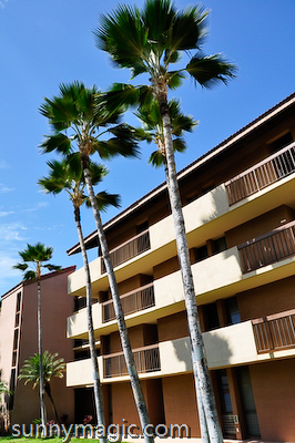 Maui Suncoast Realty