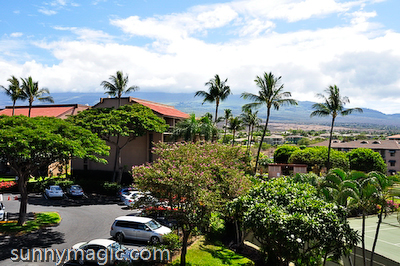 Maui Suncoast Realty
