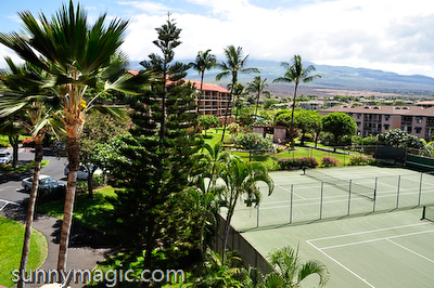 Maui Suncoast Realty