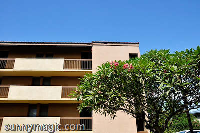 Maui Suncoast Realty