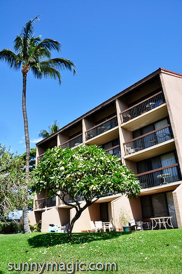 Maui Suncoast Realty
