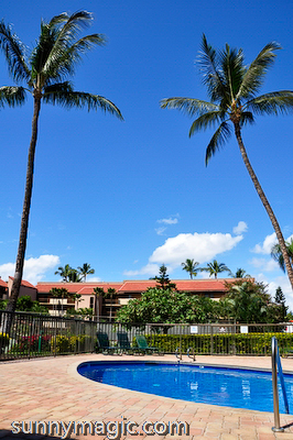 Maui Suncoast Realty