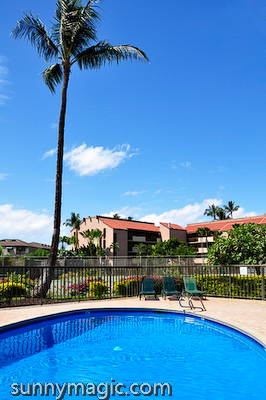 Maui Suncoast Realty