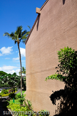 Maui Suncoast Realty