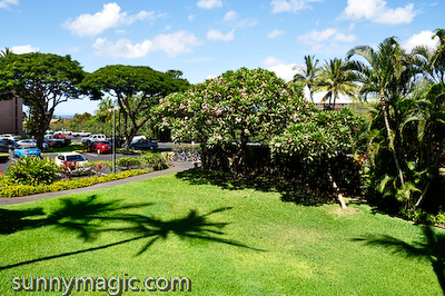 Maui Suncoast Realty