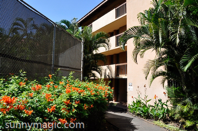 Maui Suncoast Realty