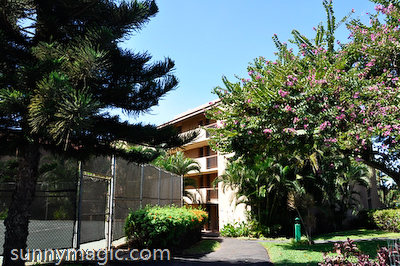 Maui Suncoast Realty
